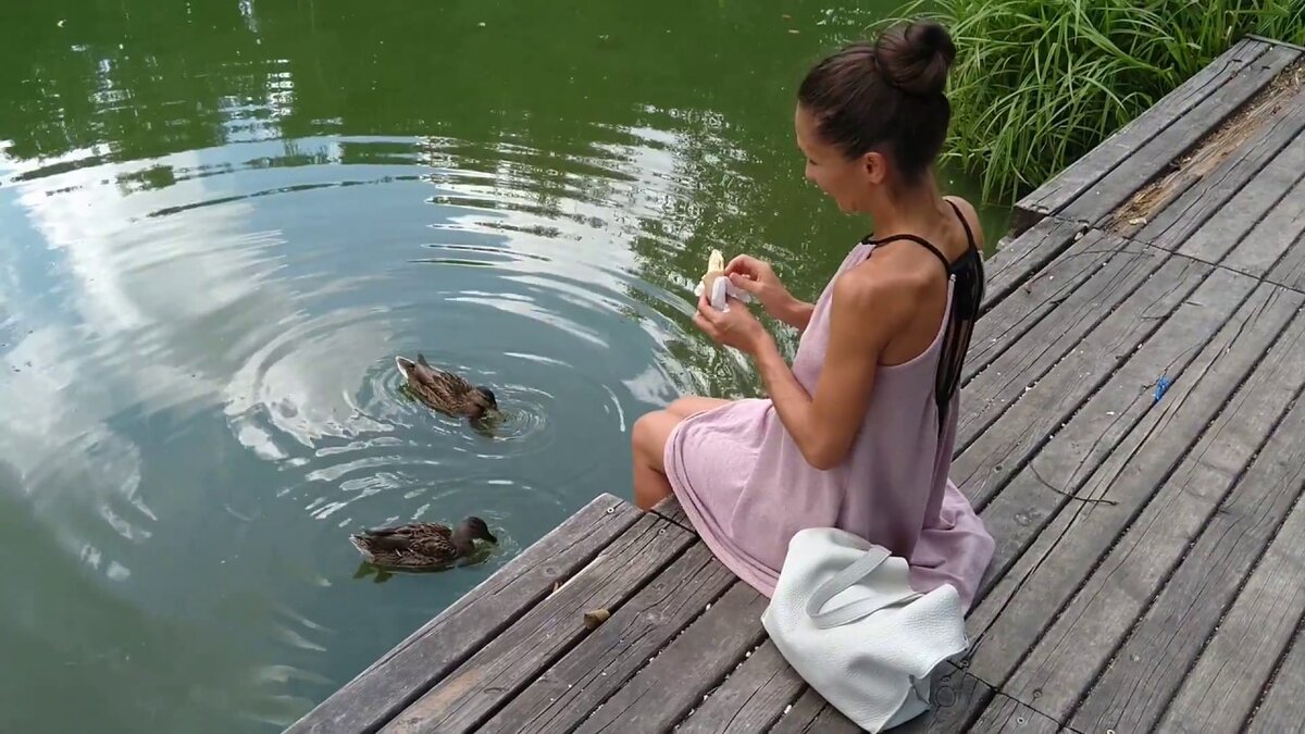 Яндекс. Картинки. 