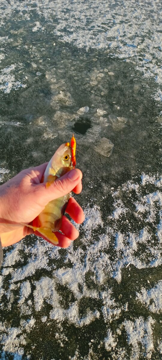 Балансир рулит