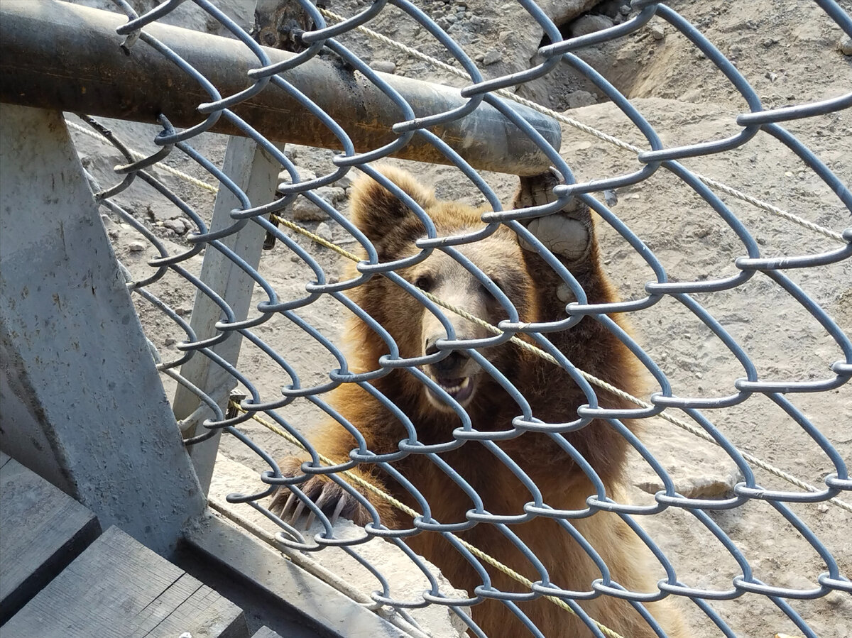 По этой трубе медведя можно кормить яблочками. Требует добавки.