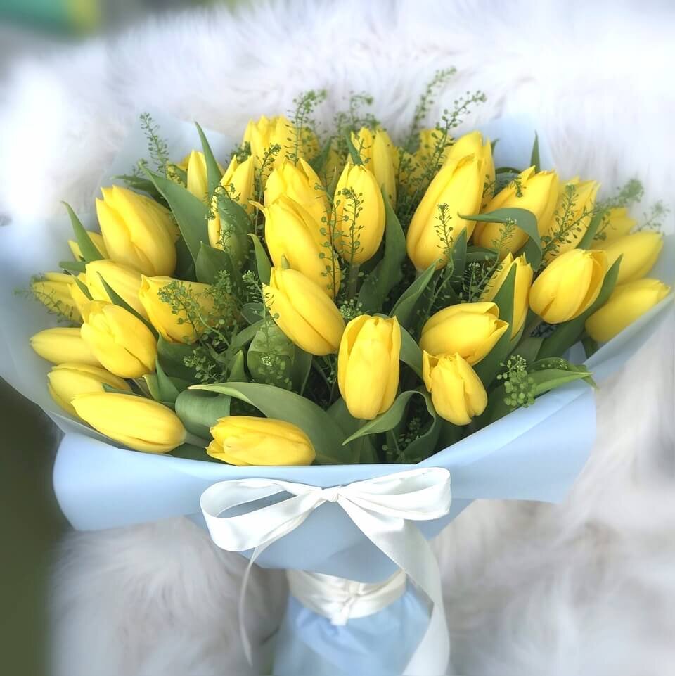 Букет желтых тюльпанов 19шт. Эустома Еллоу. Желтые тюльпаны с гипсофилой. Шикарный букет из желтых тюльпанов.
