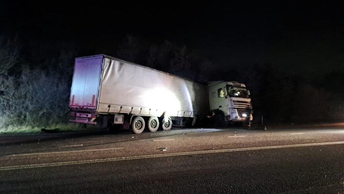    Место ДТП в Павловском районе на 660 км автодороги М-4 "Дон"© Фото : Полиция Воронежской области/Telegram