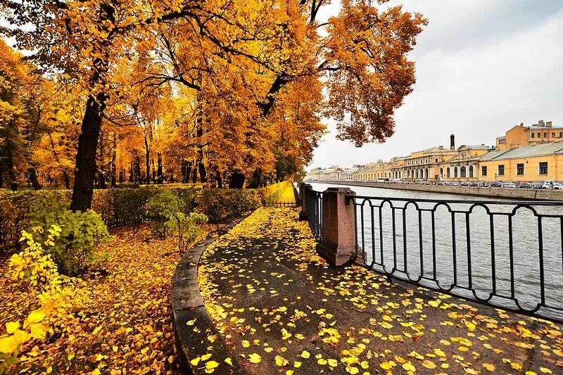Золотая осень в Санкт-Петербурге