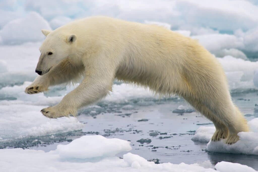    ©Bering Land Bridge National Preserve