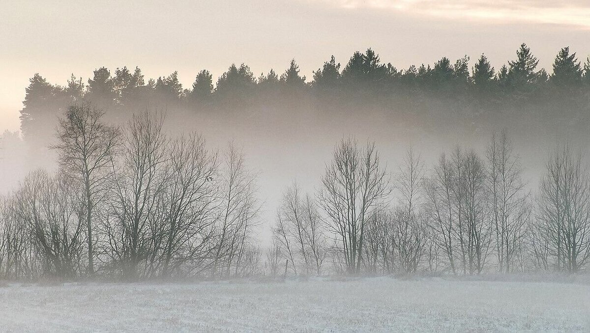     На ноябрьские праздники ростовчан ожидает прохладная и пасмурная погода, предупредили синоптики.
