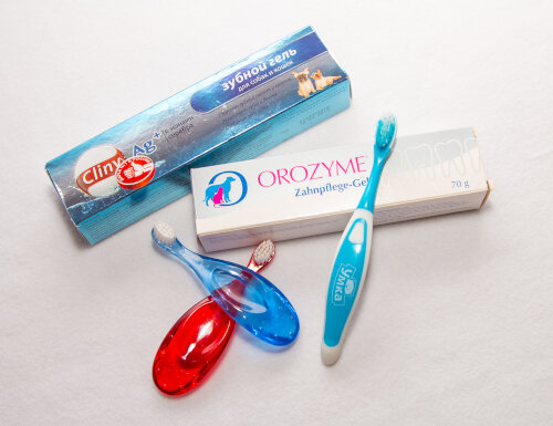 Детские щетки подходят для чистки зубов кошки. Специальные гели и пасты для кошек