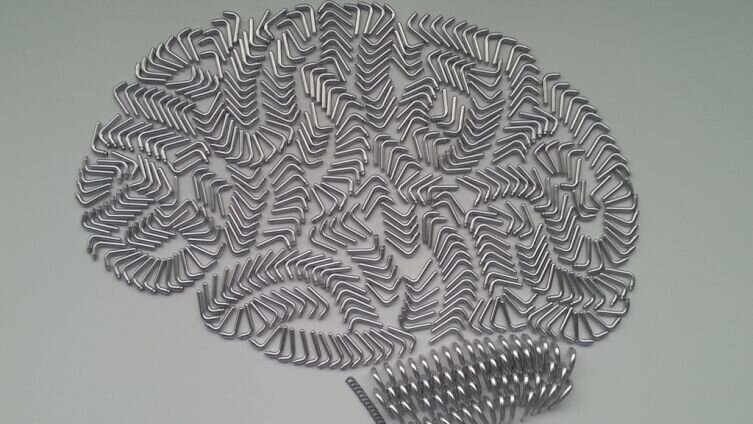    Как создавалась наука психология? Фото: по лицензии PxHere