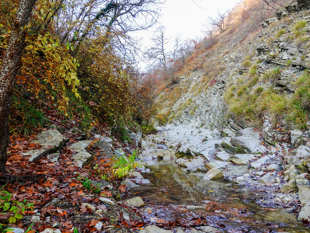 Луначарские водопады. Новороссийск | Это южный кто-то там... | Дзен