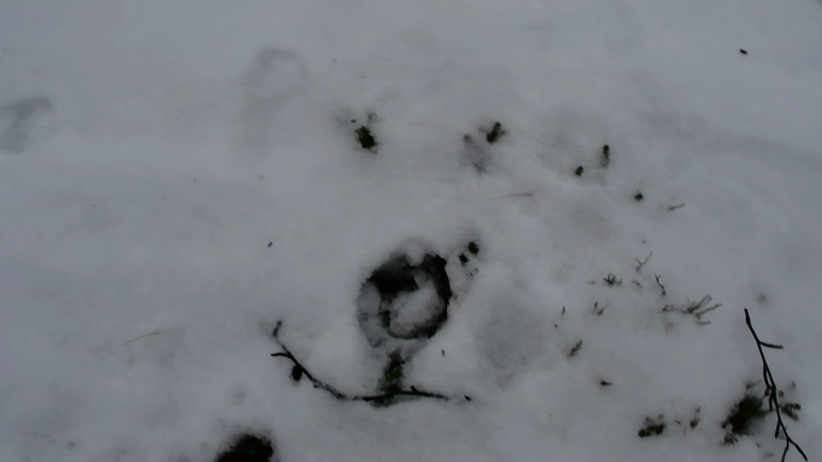 Рожица на снегу.