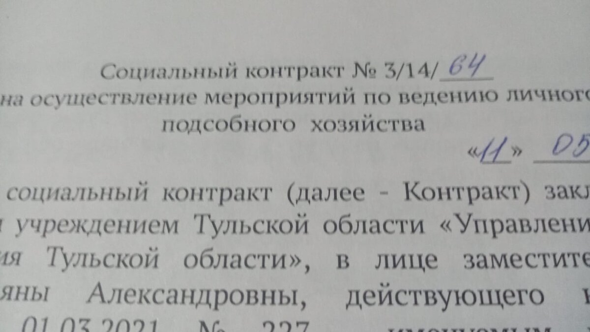 Социальный контракт. Фото автора канала "Право.Знайка".