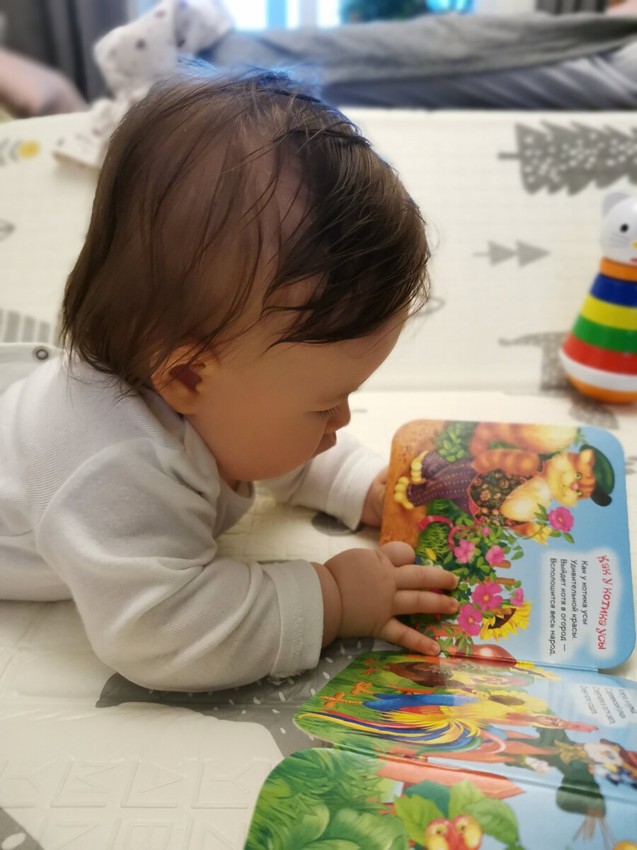 Знакомится с книгой