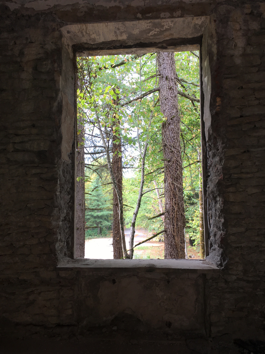 Она тебя тоже не ищет .