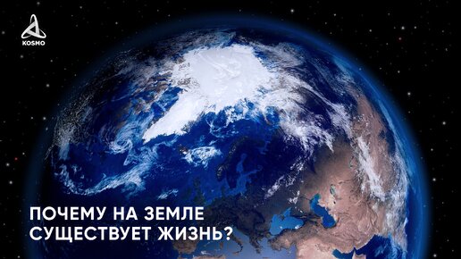 Почему на Земле существует жизнь?