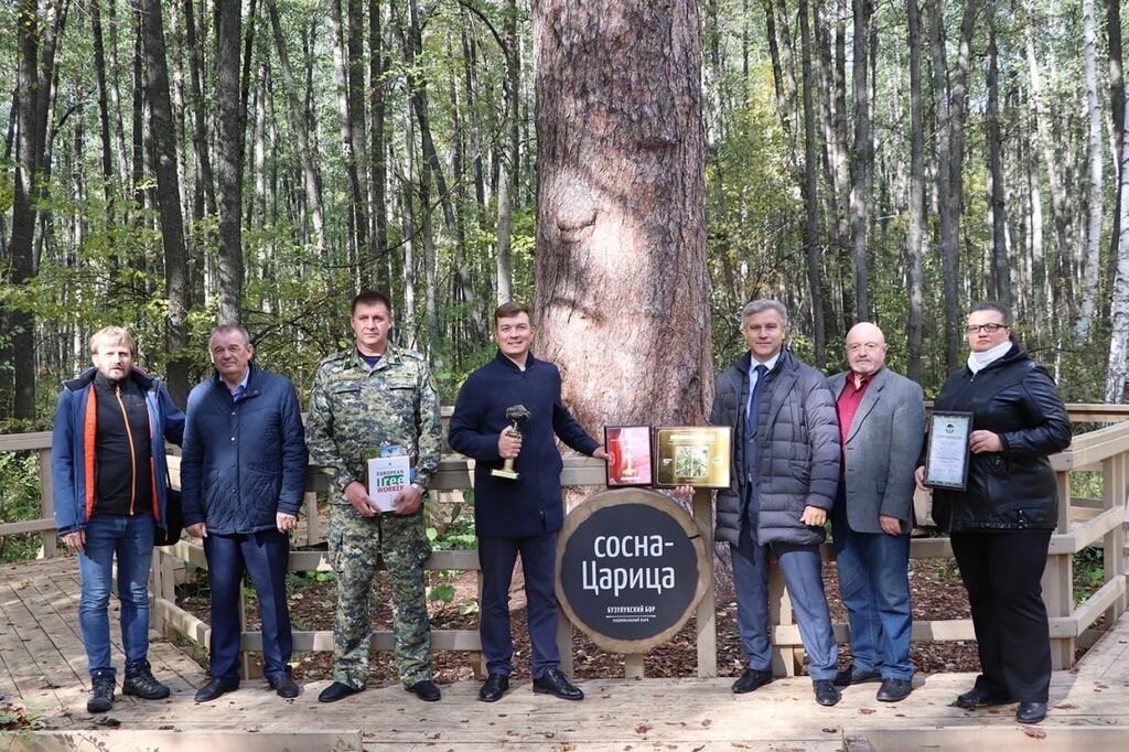    За объятия с Царицей-сосной из Бузулукского бора теперь будут штрафовать