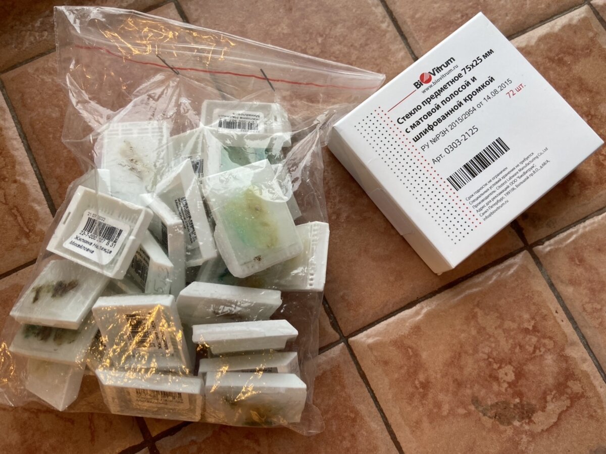 Дневник Надежды. 2022 год 