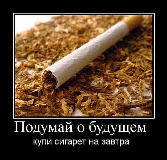картинка с просторов интернета