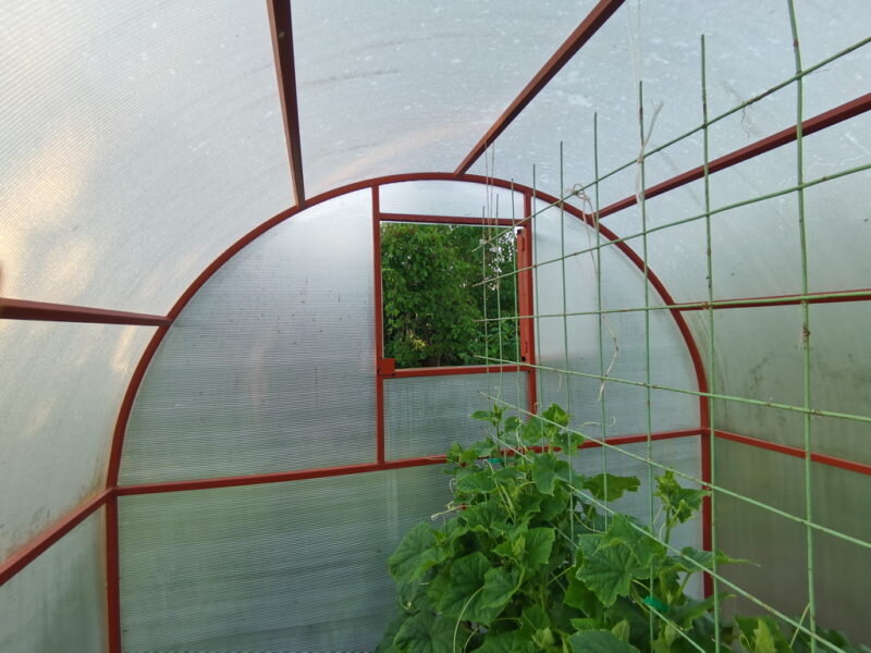 Особенности профиля теплицы