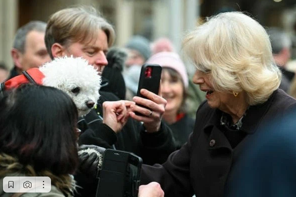 Фото из открытого доступа