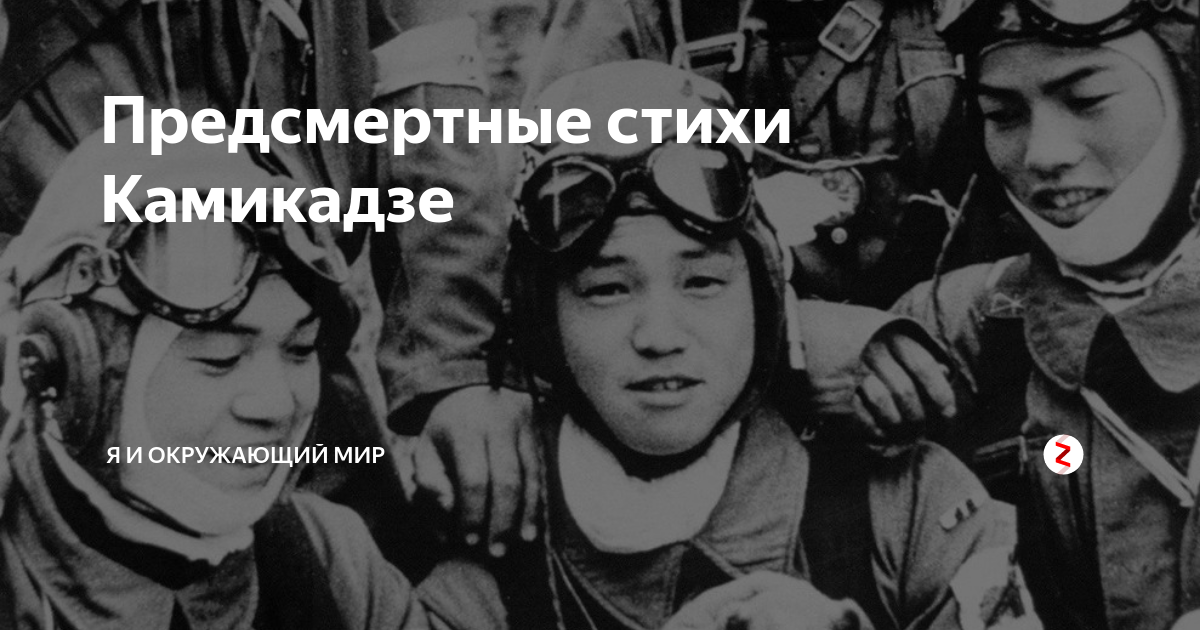 Стихи камикадзе. Предсмертные стихи камикадзе. Стихи пилотов камикадзе. Посмертные стихи камикадзе.