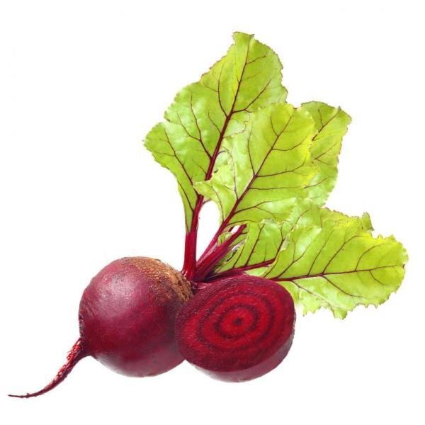 Свекла (средняя) х1