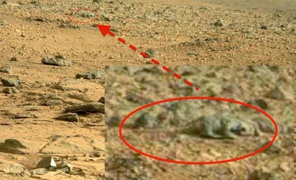 Источник изображения: http://solnca-net.com