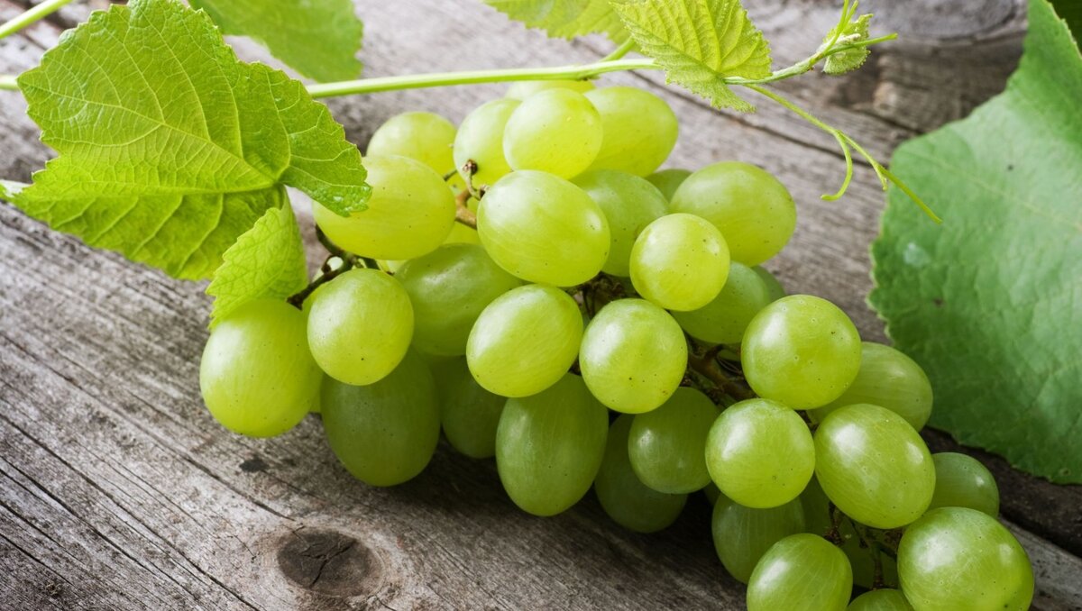 Виноград зеленый польза