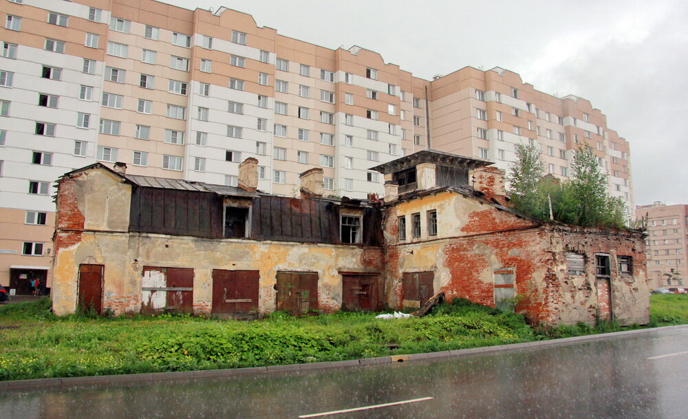 Август 2012 года. Фото Дмитрия Ратникова