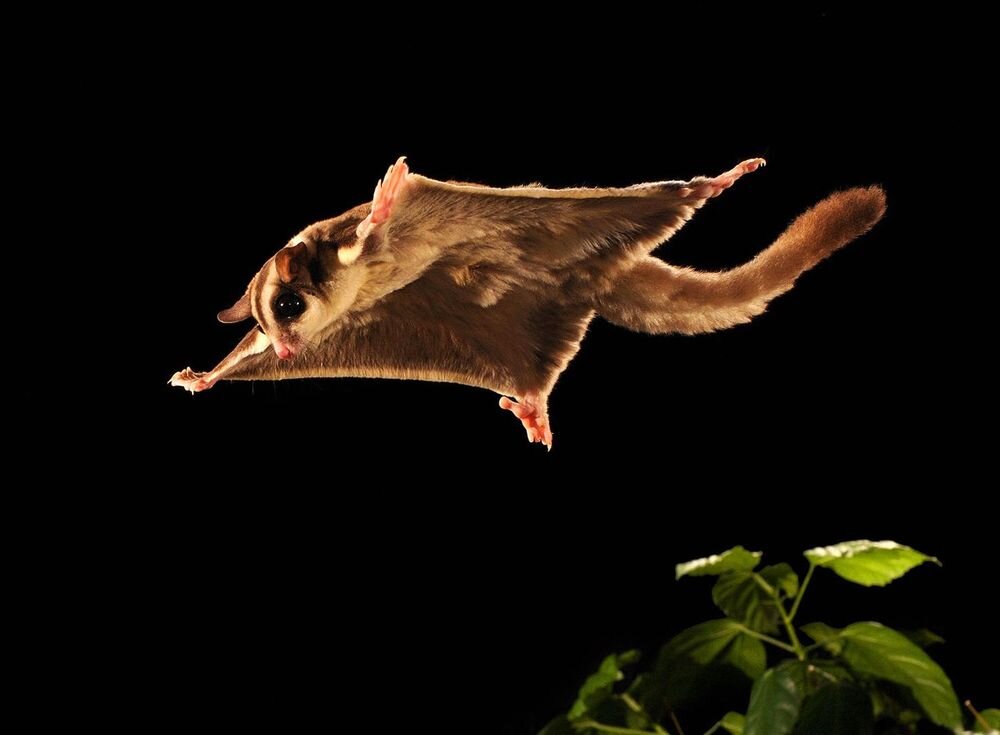 Фото: goodfon.ru