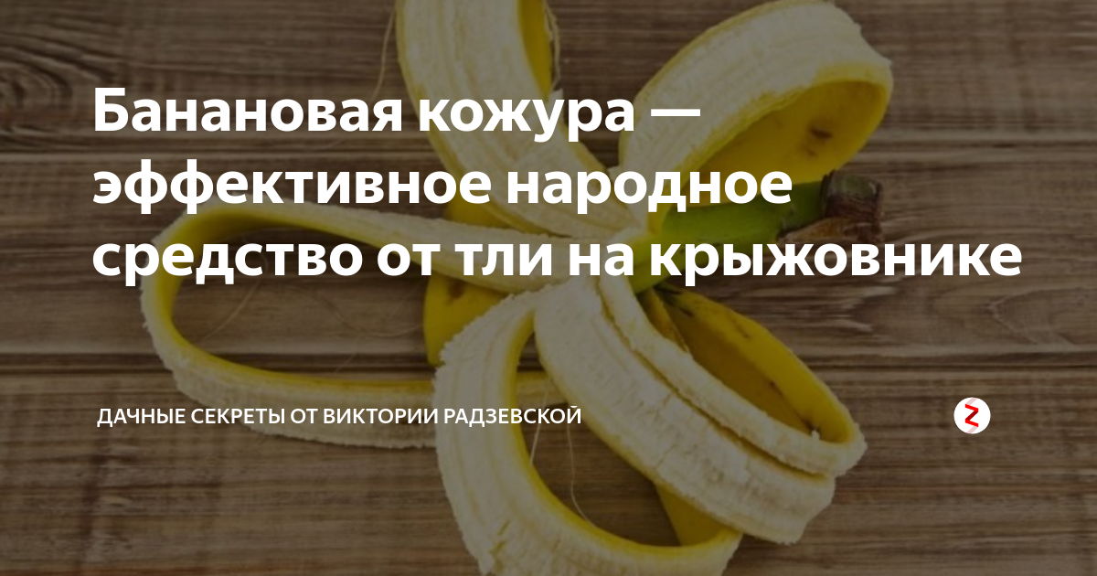 Эффективное народное средство от пяточной шпоры. Лучшие мази от пяточной шпоры: список топ-5 недорогих и эффективных. Лечение шпоры на пятке народными средствами за 5 дней Лечение пяточной шпоры народными средствами в домашних условиях.