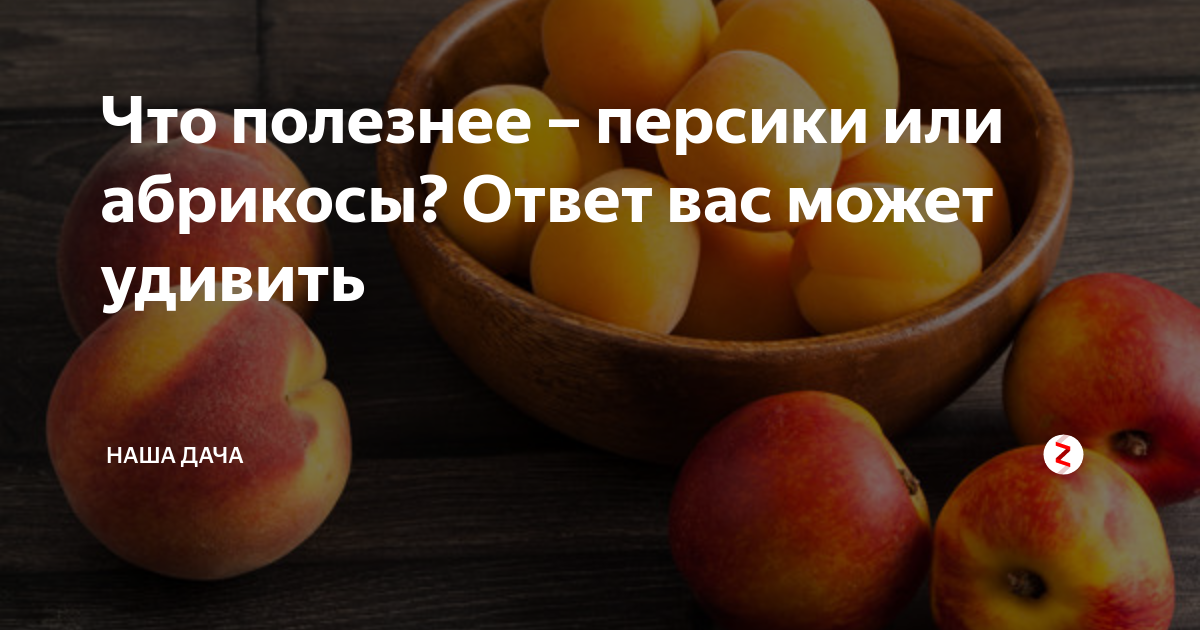 Чем полезен персик для организма. Чем полезны персики. Персик польза. Польза персиков. Что полезнее абрикос или персик.