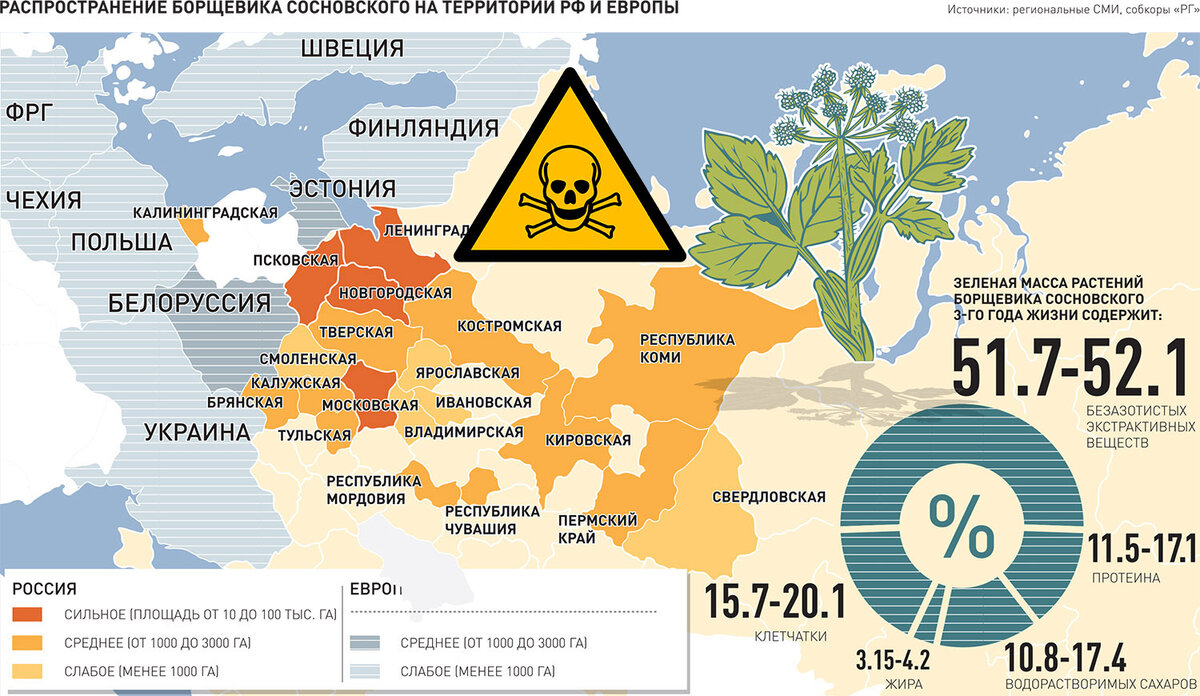 Карта распространения амброзии в россии