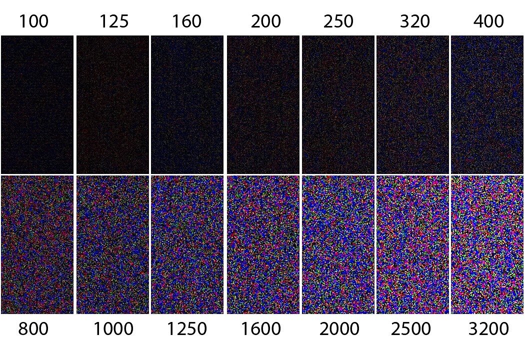 Шум 12 часов. Светочувствительность фотоаппарата ISO. Высокое ISO. Шум на картинке высокое ISO. ISO В фотографии.