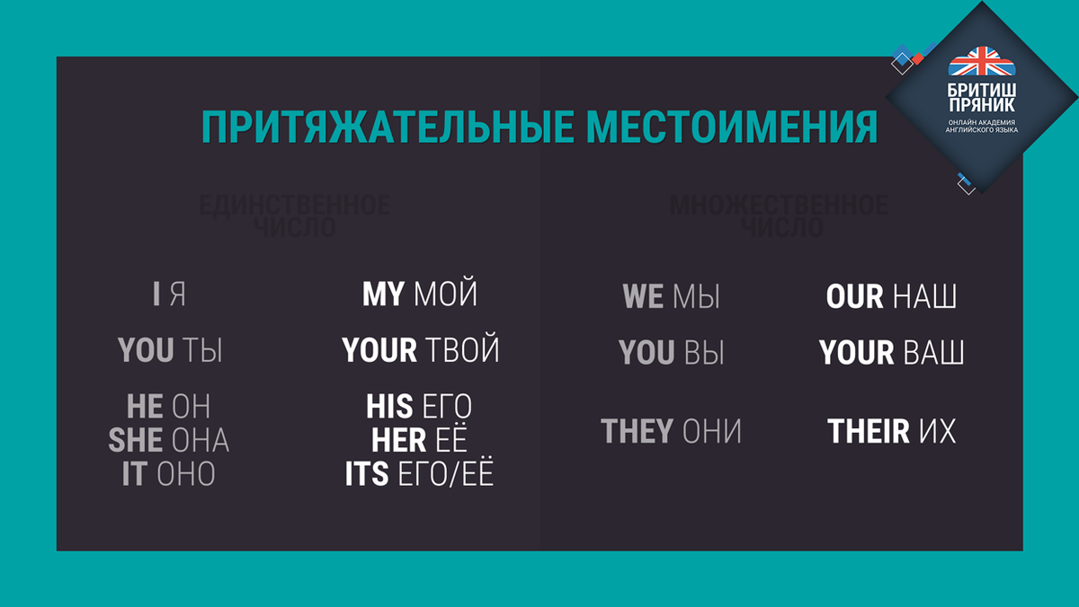 Притяжательные местоимения. Английский для начинающих. | Английский язык -  БРИТИШ ПРЯНИК | Дзен