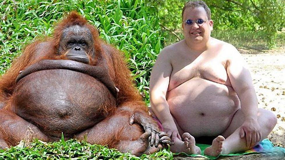 фотография из сети интернет