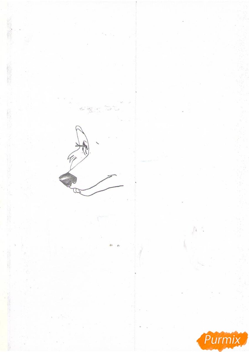 Шаг 2 Рисуем глаз рядом с носом. Рисуем бровь и щёку. Не забываем про пряди шерсти! Около рта рисуем Пирсинг. Рисуем подбородок.
