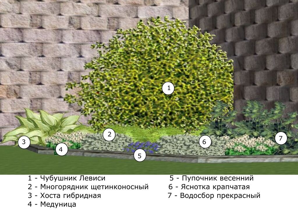 Клумба для тенистого уголка в мае