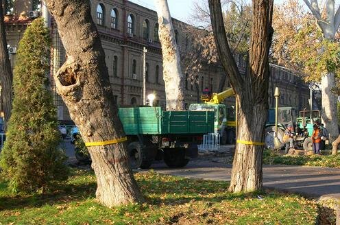  Вырубка деревьев на Сквере, 2009 год. Фото из архива "Ферганы"