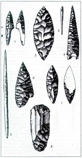 Орудия позднего древнекаменного века : 1, 7 — наконечники стрел;  2, 4, 6 — наконечники дротиков; 3 — игла; 5 — проколка; 8 — скребок.