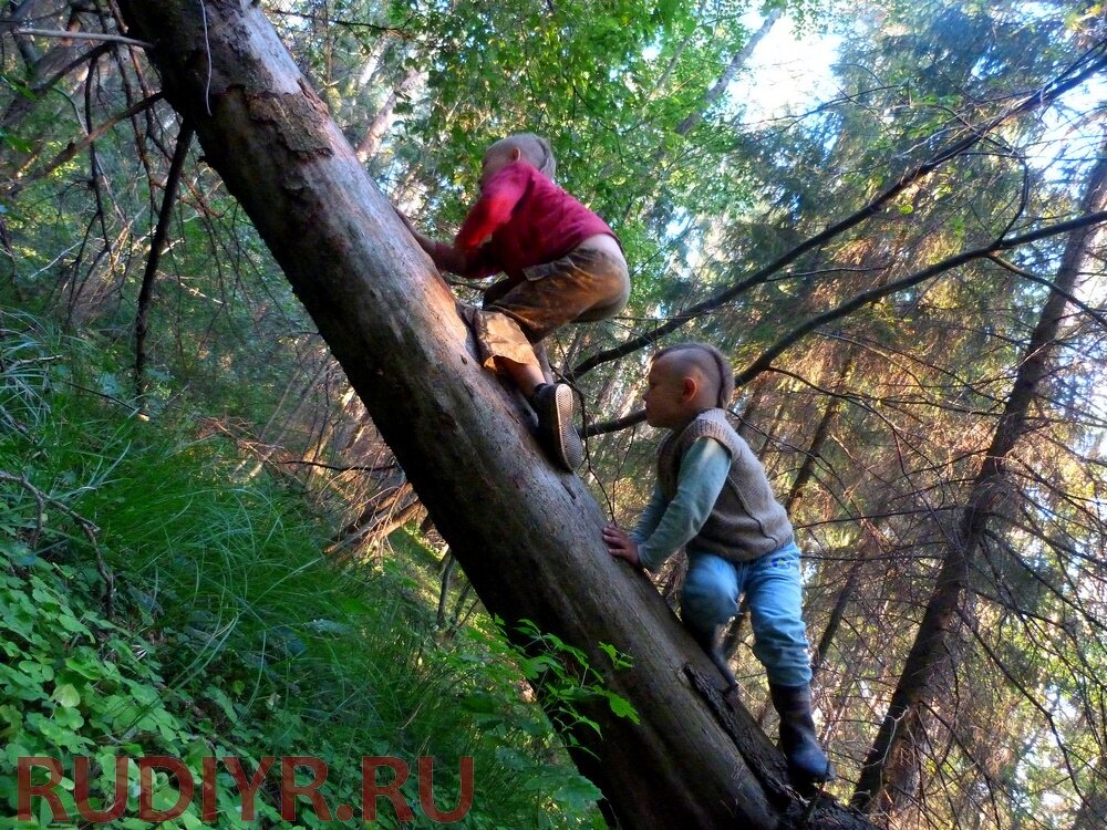 детское любопытство