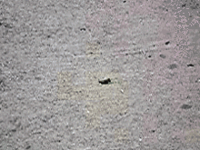 Падение шара с водой, снятое с частотой 480 кадров в секунду