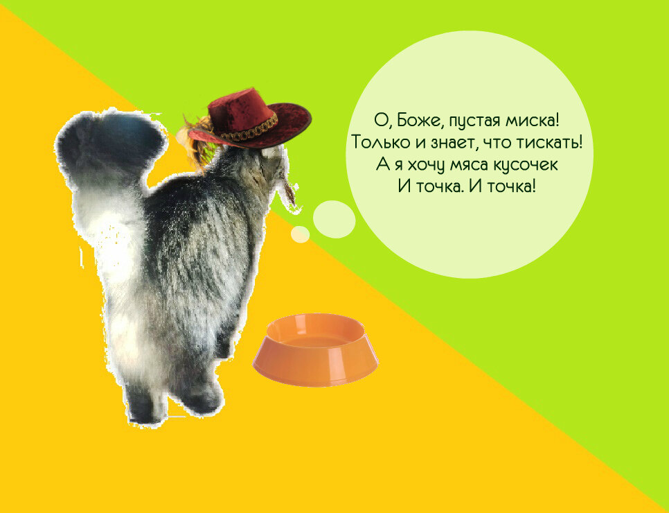 Авторская фотография моей пушистой музы