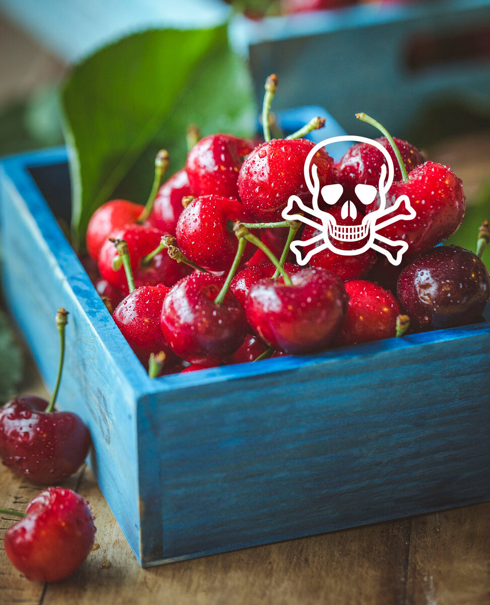 Источник изображения: pixabay.com