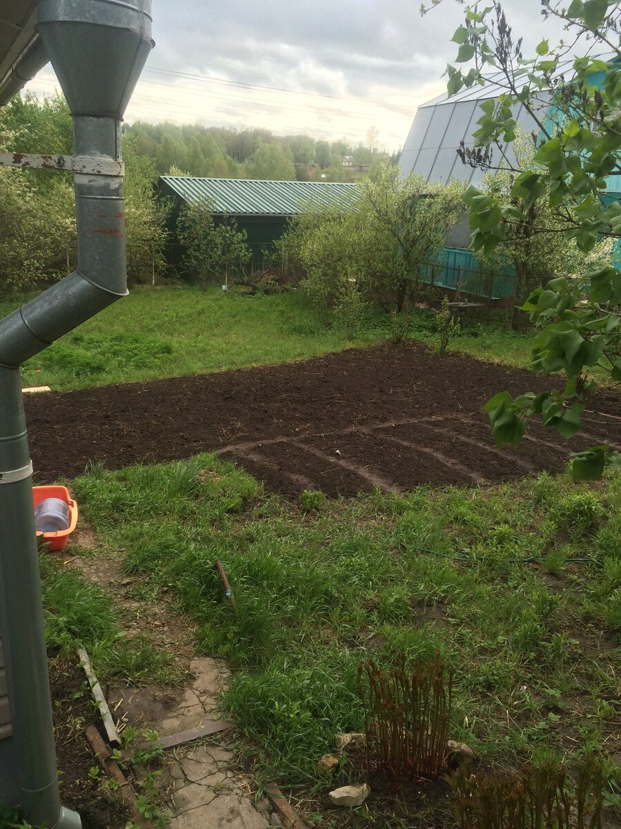 Это первый перекоп предполагаемого огорода на глазок 