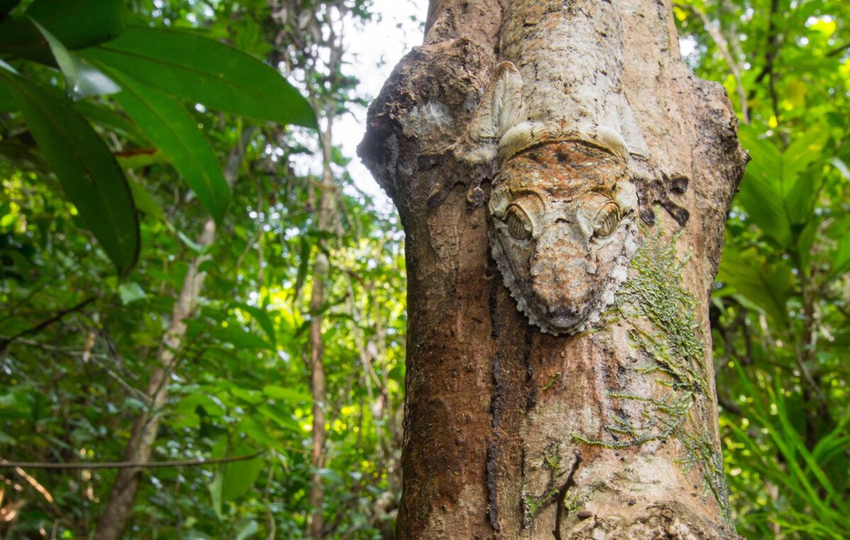 Изображение взято с сайта yandex.com