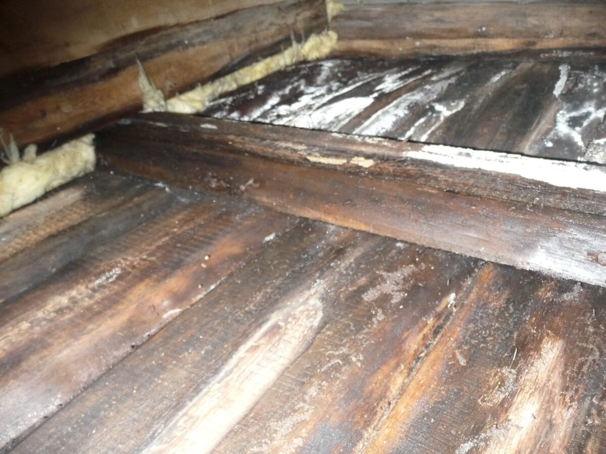 Почему замокает минвата: как утеплить потолок в бане и не сгноить  перекрытие | Муж дома (Ex. Фишки ремонта) | Дзен