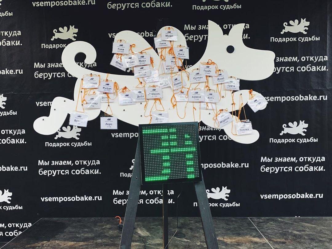 Подарок судьбы