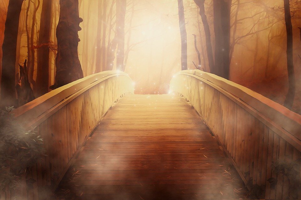 Фото:pixabay.com