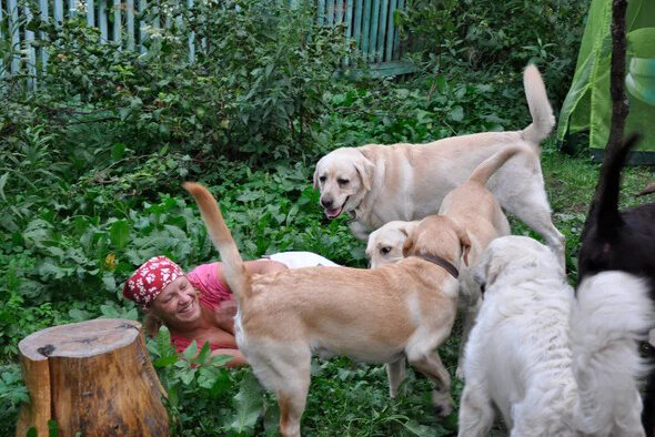 Татьяна открыла у себя на даче гостиницу для собака, и довольно успешно развивает это дело