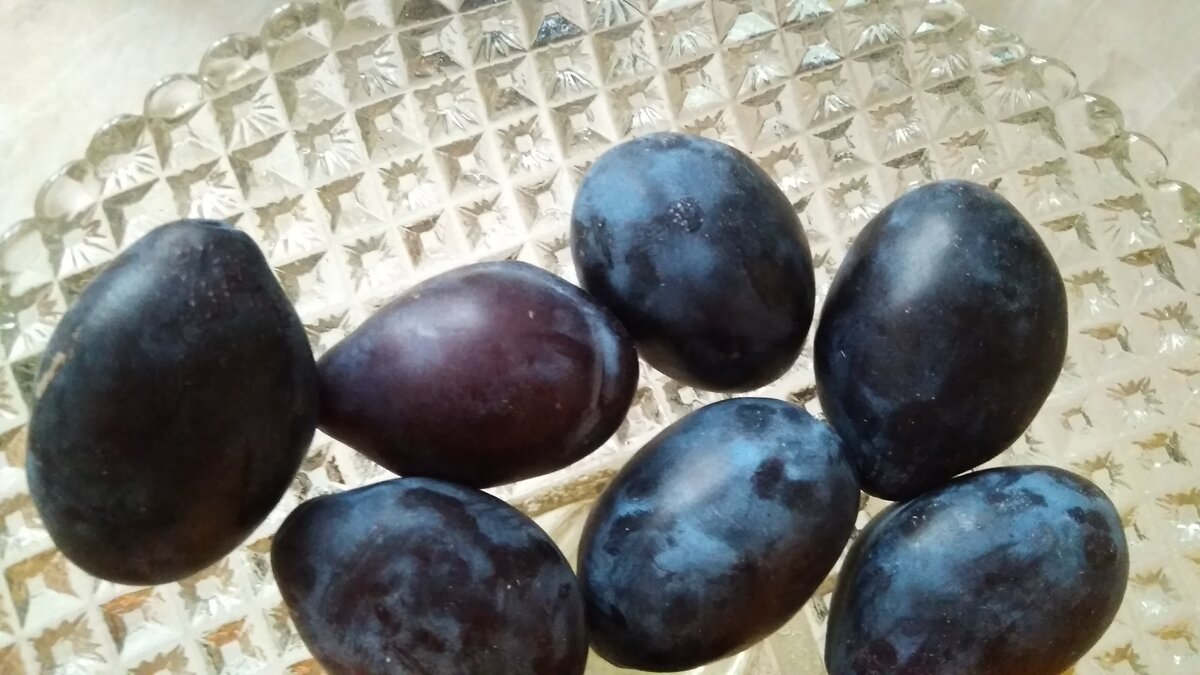 Не хуже, чем на рынке и дешевле