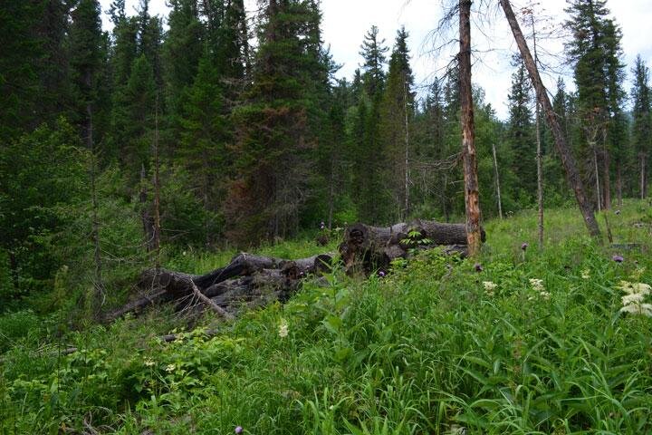 Фото: 19rus.info