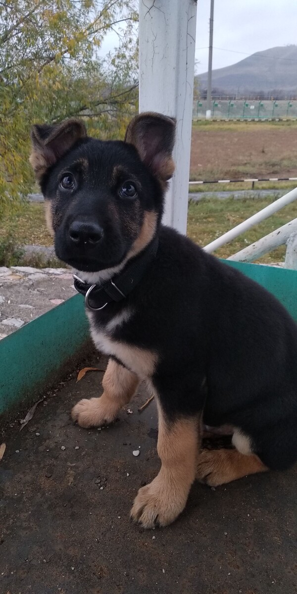 сила на верху там...сила в тебе